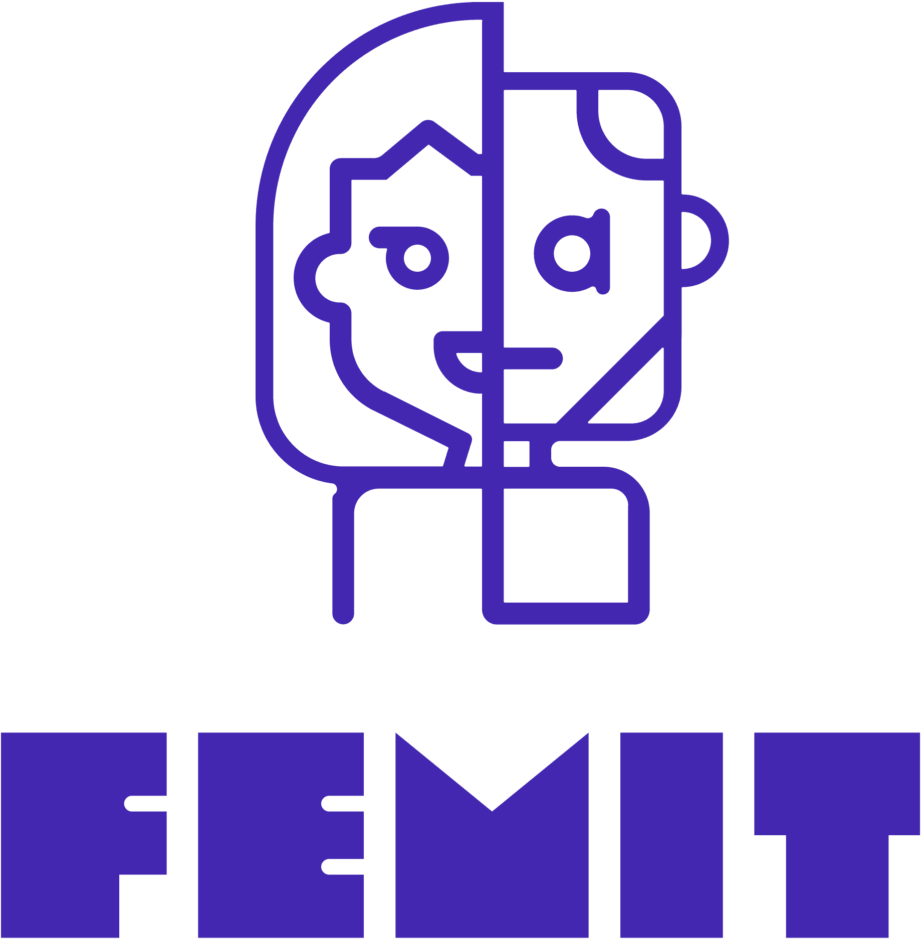 FemIT, vrouwennetwerk van HBO-ICT