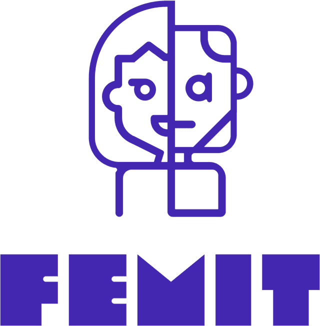 FemIT - vrouwennetwerk van HBO-ICT