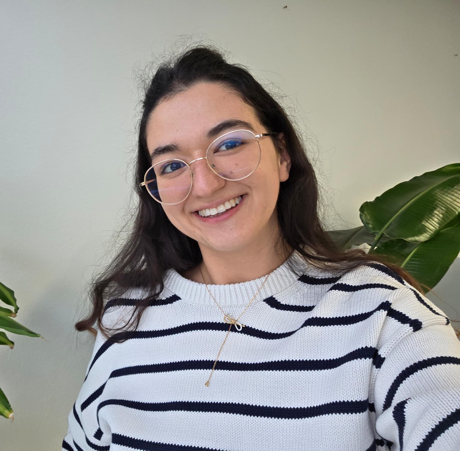 Idil, Secretaris van SIT